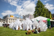 Bay Area Book Fest